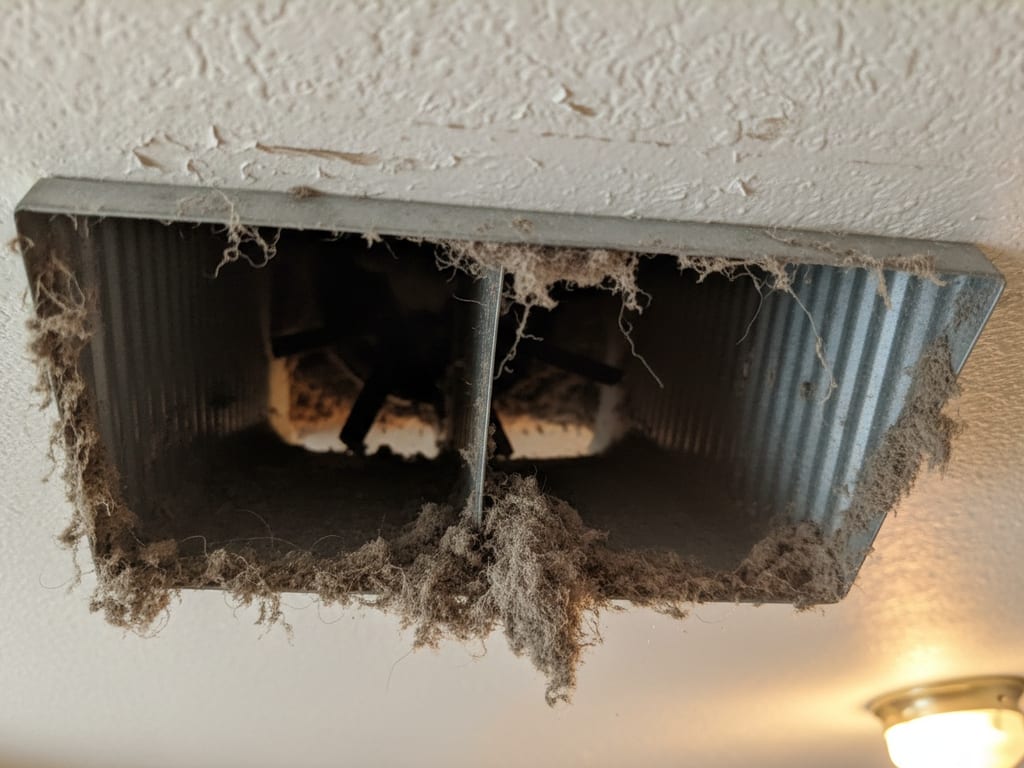 Is Your Deerfield Beach Dryer a Fire Hazard? Warning Indicators, in-article photo
